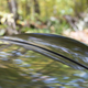 Illustration for article titled Here Are Some More Photos Of The 2018 Maserati GranTurismo MC In Autumnal Glory